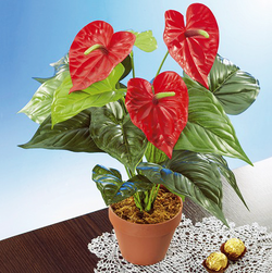 Umělá květina - anthurium / flamingo