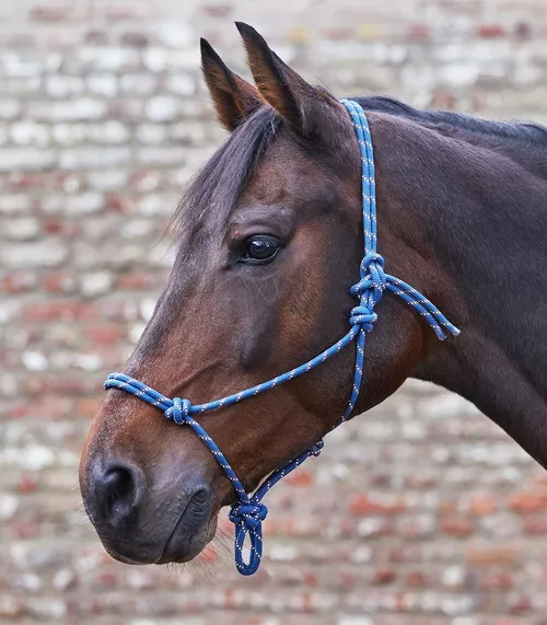 Provazová ohlávka různé barvy pony,cob,full