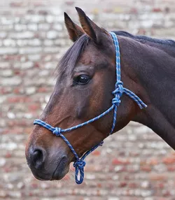Provazová ohlávka různé barvy pony,cob,full